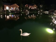 -杭州开元森泊度假乐园