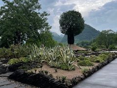 -Club Med地中海俱乐部·桂林度假村