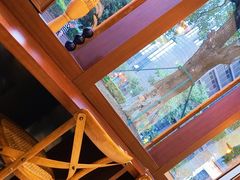 -肥朵食堂(带梦胡同店)