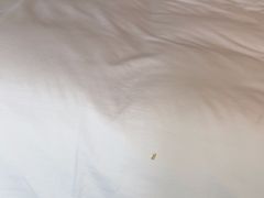 -天津东凯悦酒店