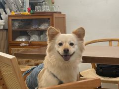 -Oasis coffee燕谷咖啡(公信店)