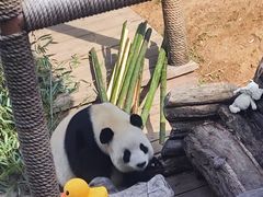 -大连森林动物园