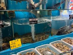 -俏东方·海味水饺·青岛菜(崂山店)