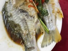 -蛇口康乐快餐鱼仔档(翠苑小区店)