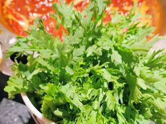 -大龙燚火锅(南山大道店)