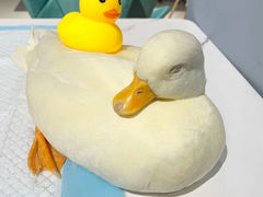 北京烤鸭-RU DUCK柯尔鸭公社·撸鸭俱乐部·羊驼·小香猪
