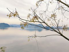 -青山湖景区