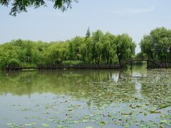 -长兴太湖图影湿地文化园