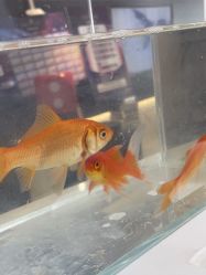 -春田皮肤管理中心品牌旗舰店