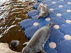 -华夏文旅海洋公园