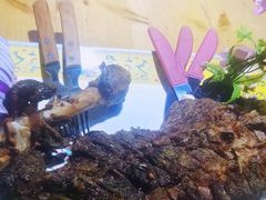 -东顺全羊坊烧烤炒菜莜面(张北店)