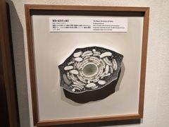 -日本科学未来馆
