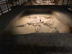 -洛阳周王城天子驾六博物馆