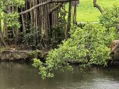 -人民公园(罗湖区)