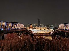 -武汉知音号