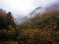 -叠溪松坪沟景区