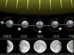 -神奇科学家STEAM科学实验科创赛事机器人编程逻辑思维MadScience(长宁来福士校区)