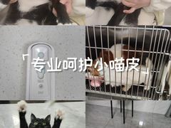 -科道动物医院·急重症中心(万达院)