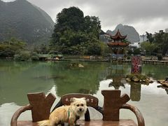 -靖西鹅泉风景区