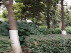 -常州古运河南大街文化旅游区-人民公园