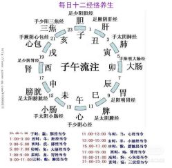 -香薇妮丝·定制减肥·身材管理