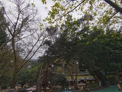 -灵秀温泉