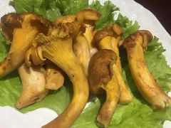 -菌之家·专业纯野生菌火锅·特色炒菌