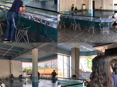 -SHRIMP CLUB万东餐饮钓虾·清吧