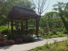 -龙寺生态园