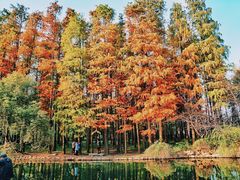 -共青国家森林公园-售票处