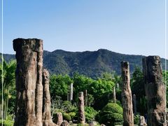 -深圳仙湖植物园