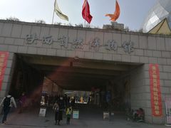 -陕西自然博物馆