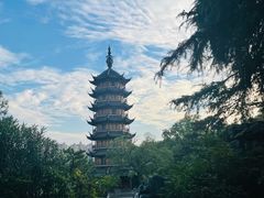 -红梅公园