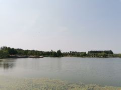 -东郊湿地公园