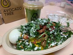 -油梨树AVOCADO TREE(嘉里中心店)