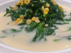 鲜豌豆瓣煮豆尖-陆壹捌餐厅(五大道店)