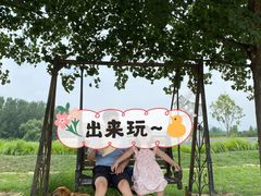 -北京东方普罗旺斯薰衣草庄园