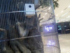 -东四民芳餐厅(世茂工三店)