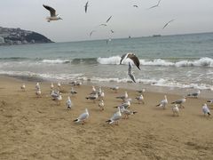 -海云台海滩