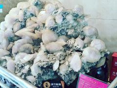 -湖南省地质博物馆