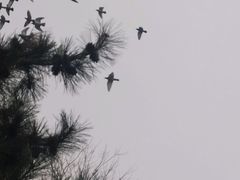-北京鲁迅博物馆(北京新文化运动纪念馆鲁博馆区)