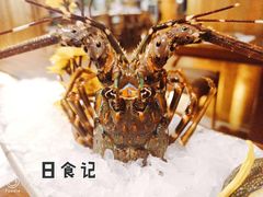 小青龙刺身-芥末日本料理(打浦路铂尔曼旗舰店)