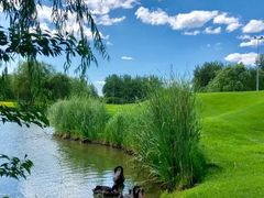 -万柳高尔夫俱乐部