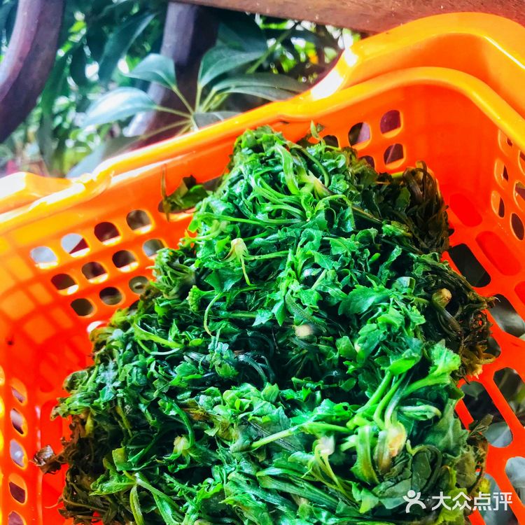 这是你难得的品质。不过很遗憾的说不是每个人都这么想