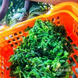 这是你难得的品质。不过很遗憾的说不是每个人都这么想