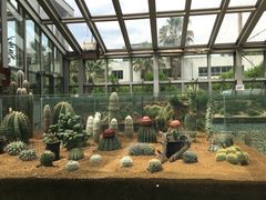 -上海植物园-4号门售票处