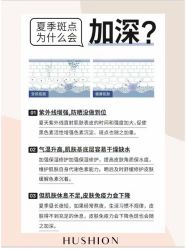 -LUNA皮相美·骨相美高级美感
