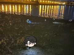 -栈桥景区