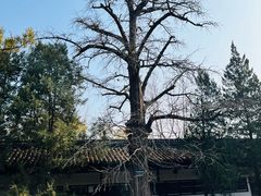 -苏州碑刻博物馆