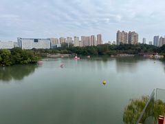 -青枫公园
